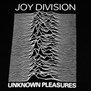 JOY DIVISION t-shirt Sold